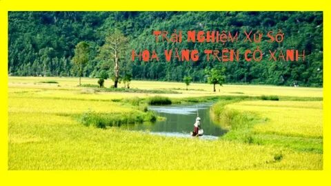 10X trúng tuyển 6 đại học top đầu châu Âu nhờ mê truyện trinh thám