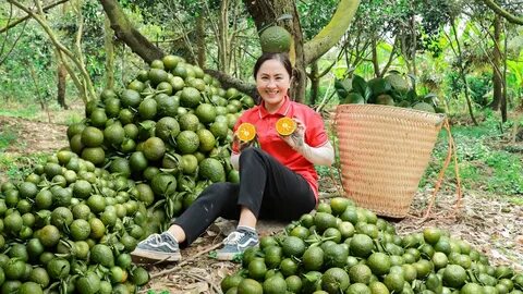 Tỷ lệ 'chọi' lớp 10 trường ngoại thành Hà Nội nhảy vọt, phụ huynh ngã ngửa