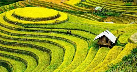 Nhìn điện thoại quá nhiều, nam thanh niên không thể ngẩng đầu